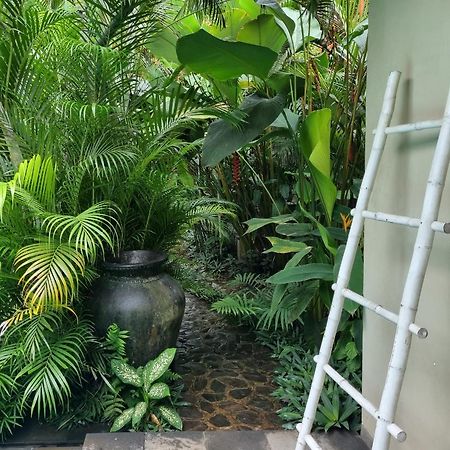 Villa Jati - Private Poolside Villa Central Lovina מראה חיצוני תמונה